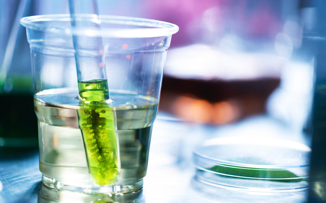 Lietuvos mokslininkai įminė tūkstantmečių paslaptį: „atrakino“ spirulinos formulę