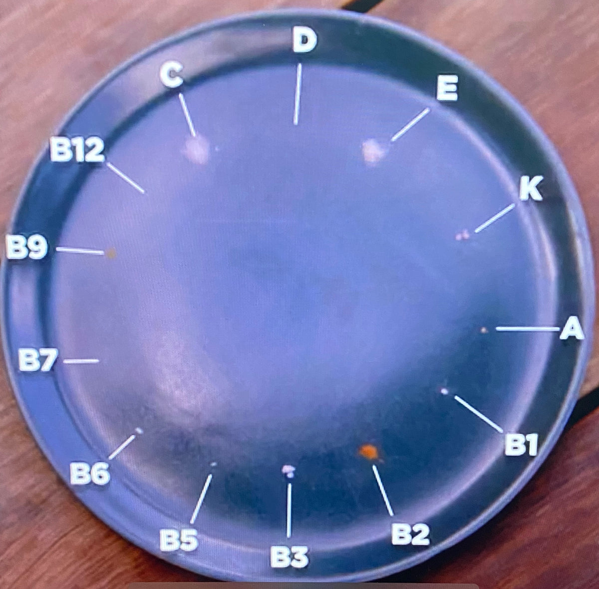 Blue plastic lid with labeled positions on a wooden surface